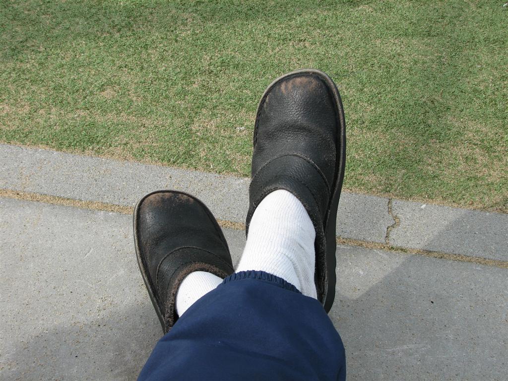 2008_10_04 TBC1_SDOC1 (14).jpg